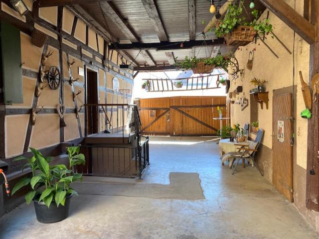 S' Moose Hof Apartment Weisweil  Luaran gambar